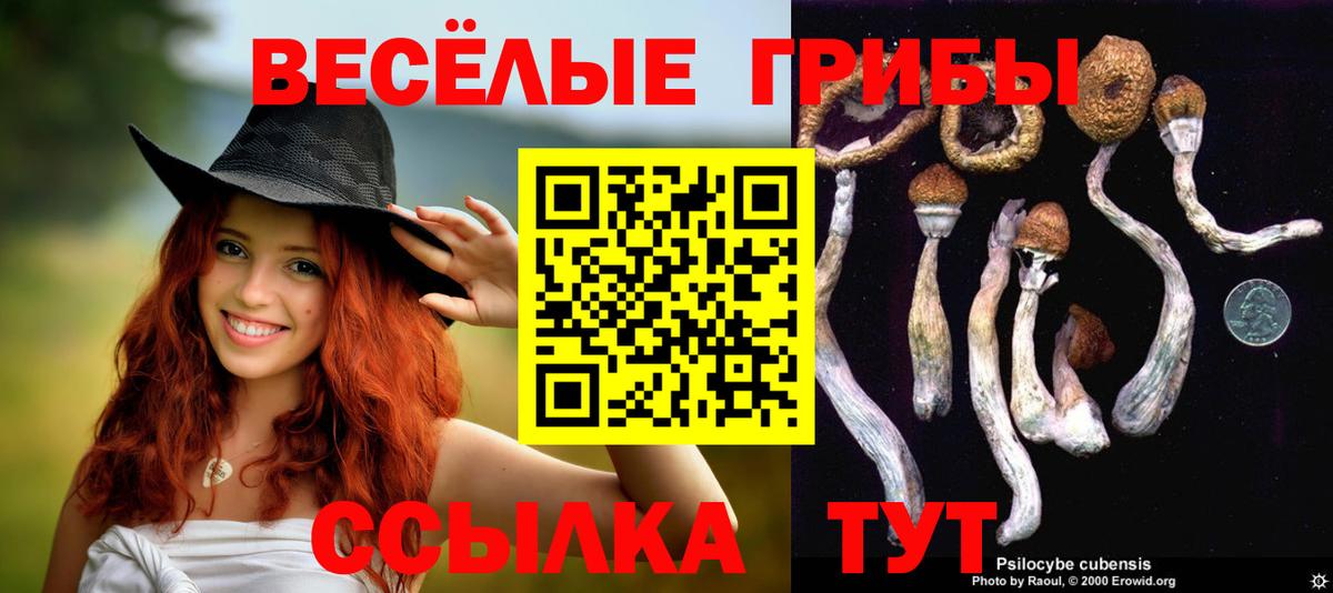Фурманов  Псилоцибиновые грибы ЛСД  наркошоп  Вход с VPN  Псилоцибиновые грибы мицелий 